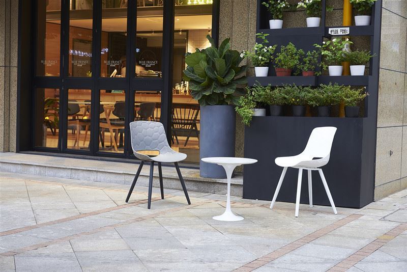 Design în stil nordic Aplicația obișnuită de contrast de culoare 台州芽尖 飞越队 林迪迪...