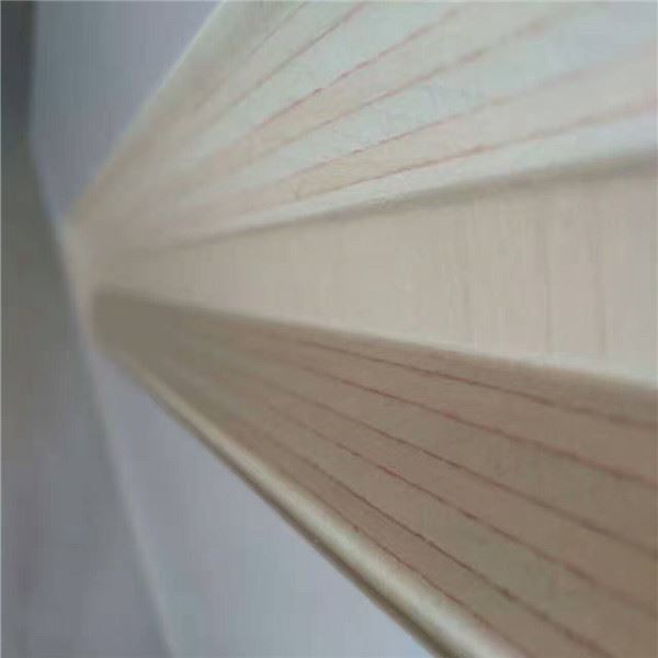 Placajul poate fi stocat în aer liber -- 山东云速网络 --4 组 -- 刘洁